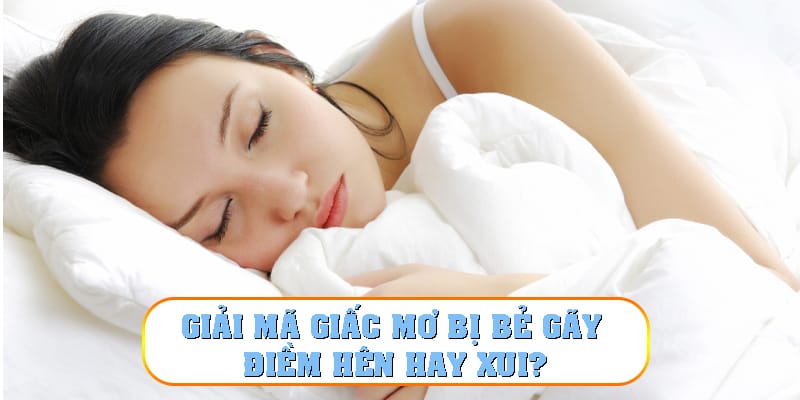 Chính việc giải mã giấc mơ bị bẻ gãy đã và đang đưa bạn đọc vào một thế giới phức tạp